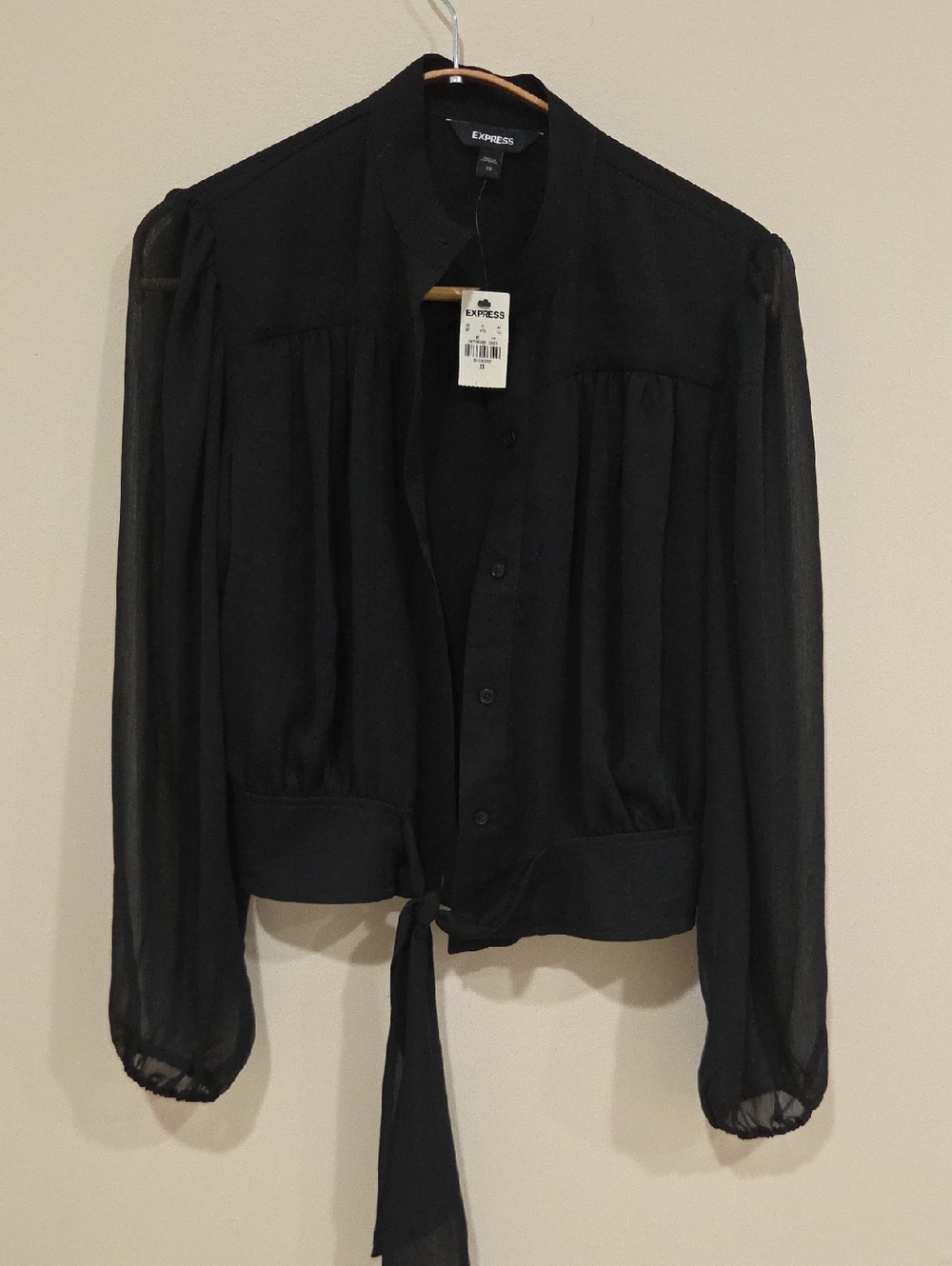 Express Black Sheer Long-Sleeve Tie-Front Blouse